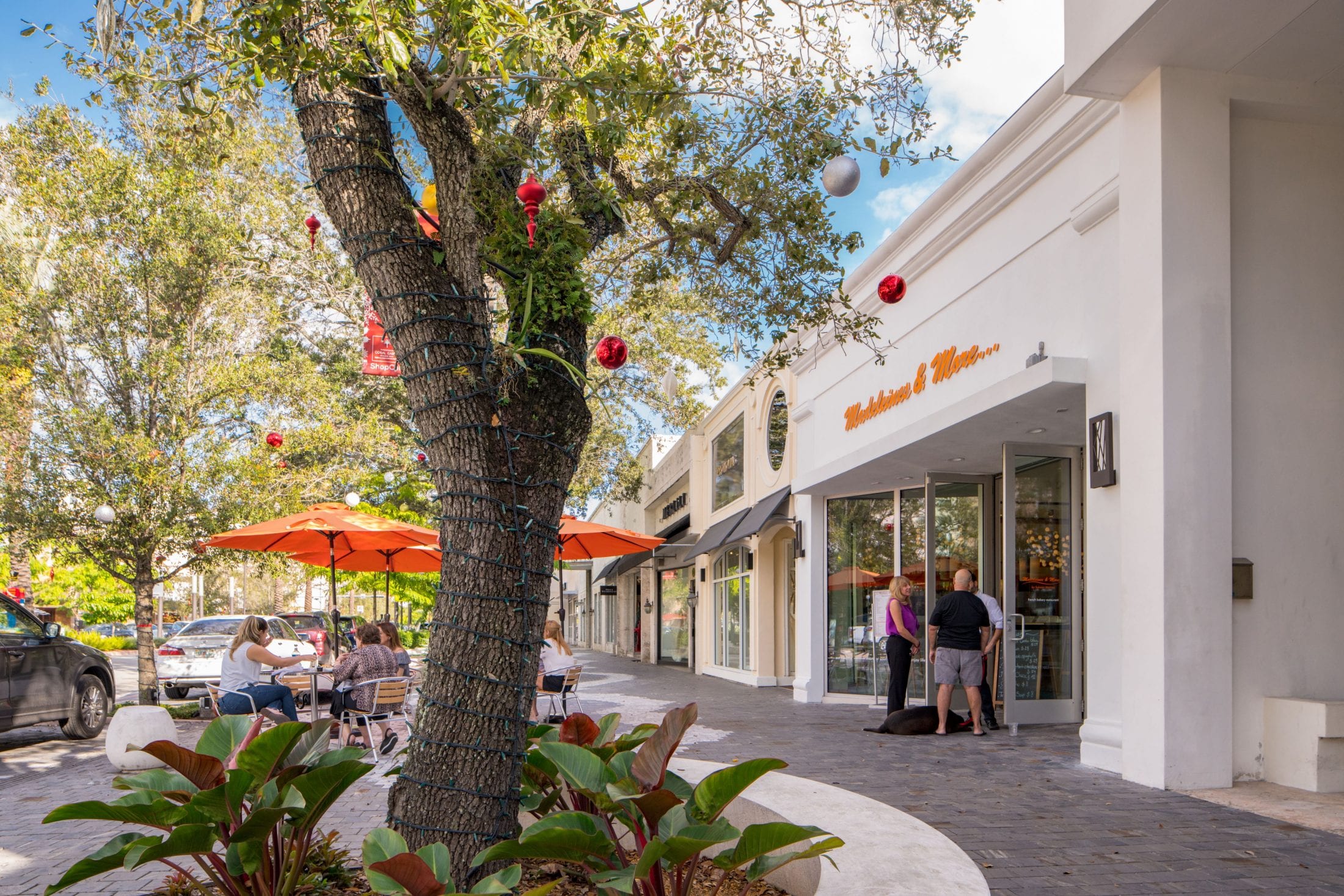 Art, Culture And History in Coral Gables